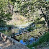 Review photo of Shell Gulch Campground by DirtyMountainBoy A., May 17, 2021