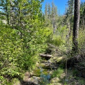 Review photo of Philpot Picnic Area by DirtyMountainBoy A., May 17, 2021