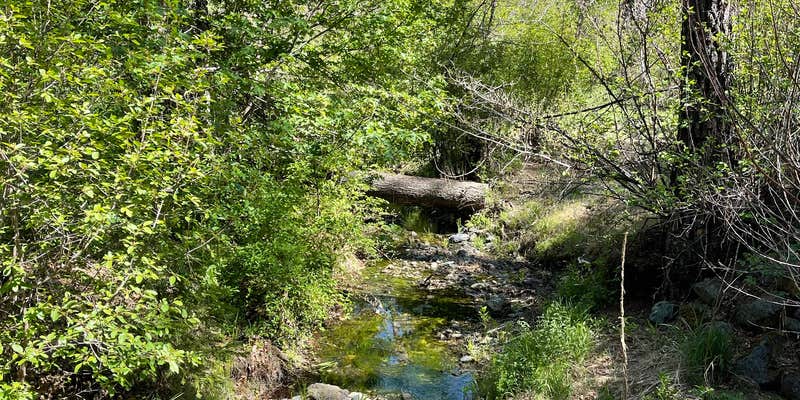 Camper submitted image from Philpot Picnic Area