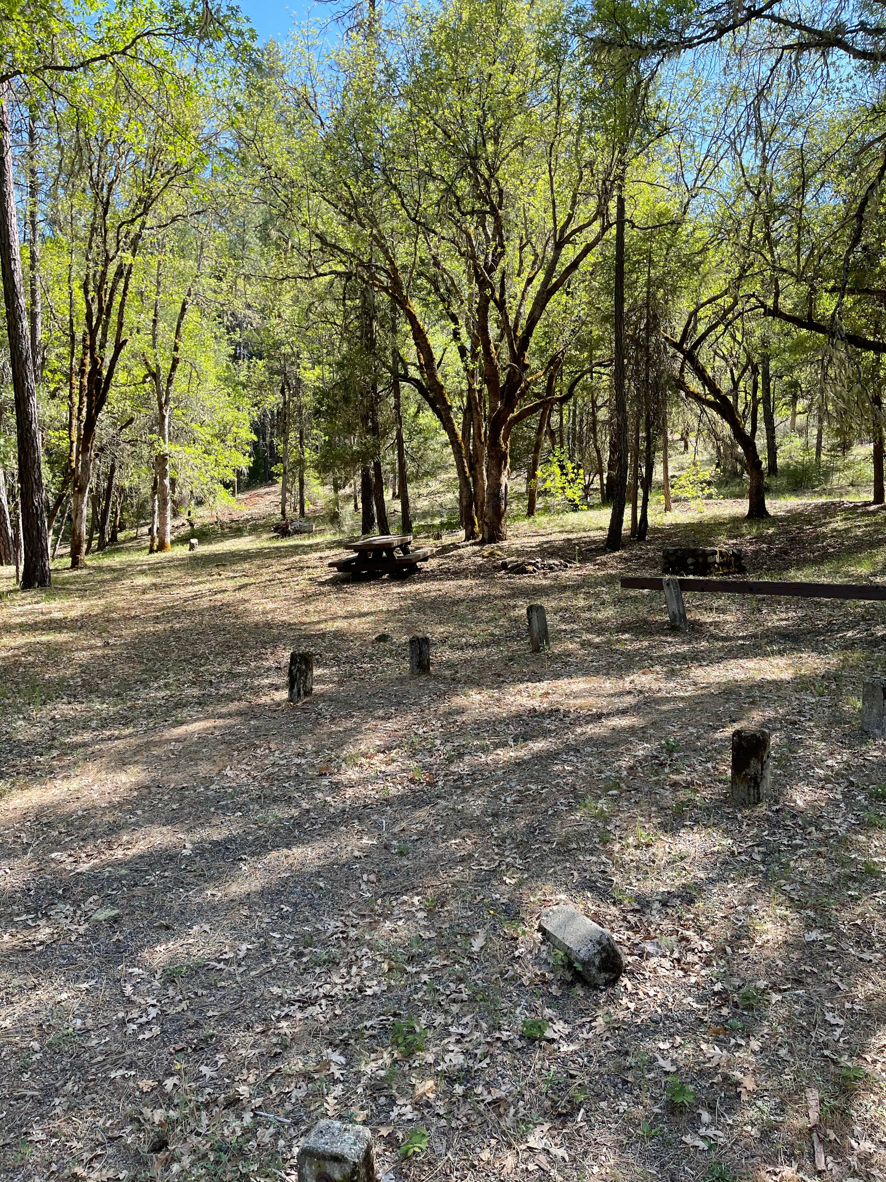 Camper-submitted photo at Philpot Picnic Area near Hayfork, CA