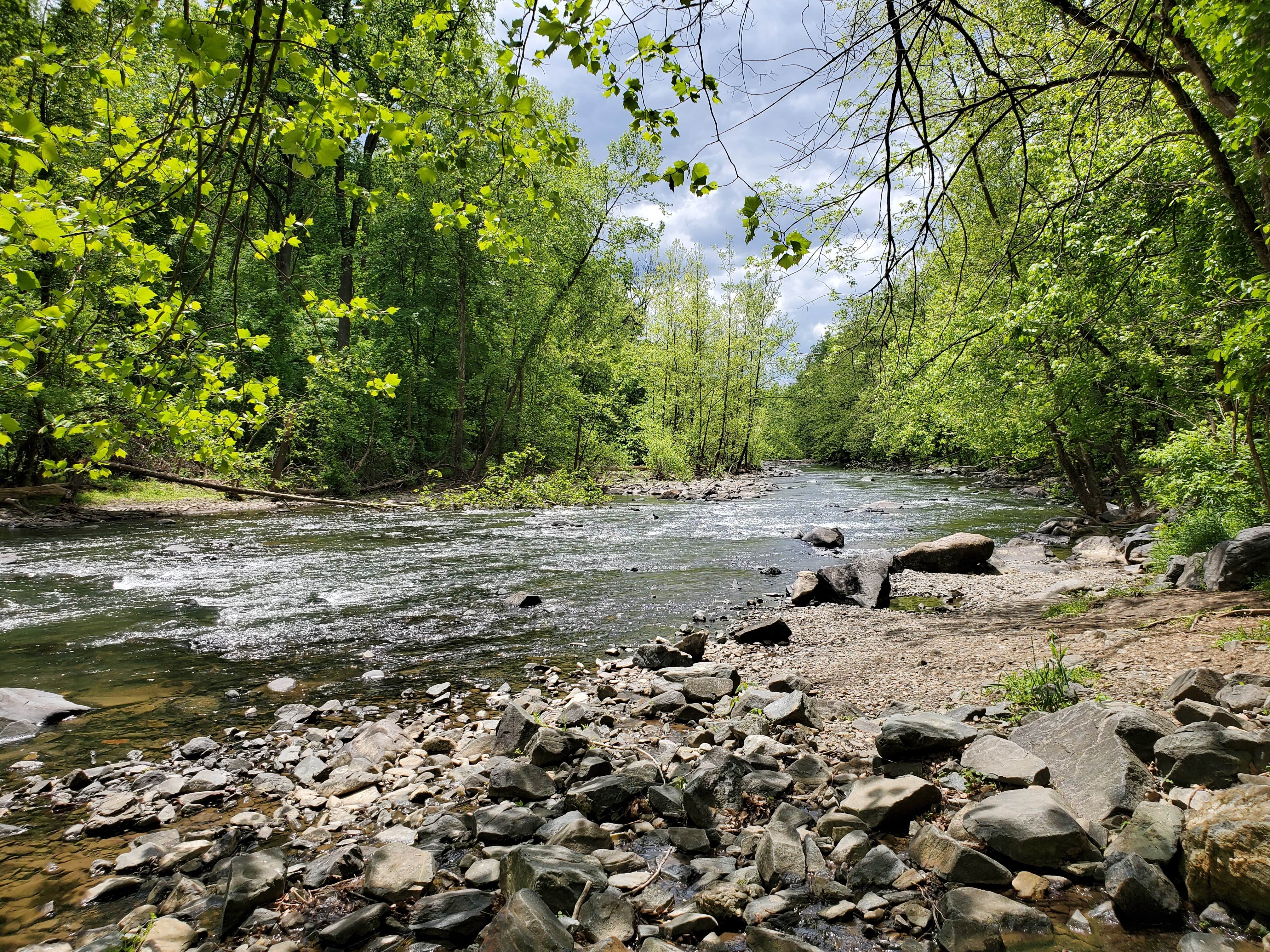 Escape to Nature: Maryland's Patapsco Valley State Park (Hollofield Area)