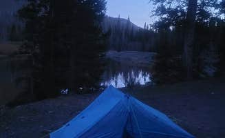 Florian J.'s photo of tent camping at Priest Lake Dispersed Camping Area near San Juan National Forest