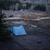 Review photo of Priest Lake Dispersed Camping Area by Florian J., May 17, 2021