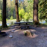 Review photo of Graves Creek Campground — Olympic National Park by Kelsey Z., May 17, 2021