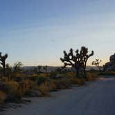 Review photo of Hidden Valley Campground — Joshua Tree National Park by Sheridan L., May 17, 2021