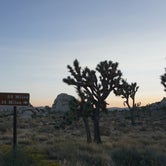 Review photo of Hidden Valley Campground — Joshua Tree National Park by Sheridan L., May 17, 2021