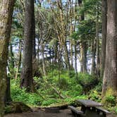 Review photo of Kalaloch Campground - group — Olympic National Park by Kelsey Z., May 17, 2021