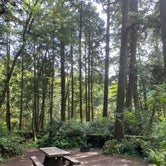 Review photo of Kalaloch Campground - group — Olympic National Park by Kelsey Z., May 17, 2021