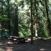 Review photo of Paradise Campground by Bill I., July 15, 2016
