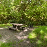 Review photo of Hoh Campground — Olympic National Park by Kelsey Z., May 17, 2021