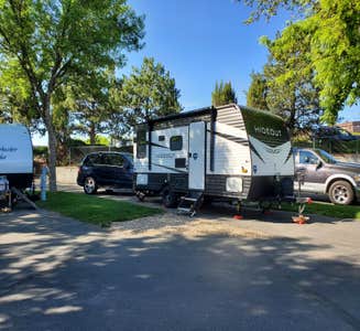 Camper-submitted photo from Pine Flats Campground