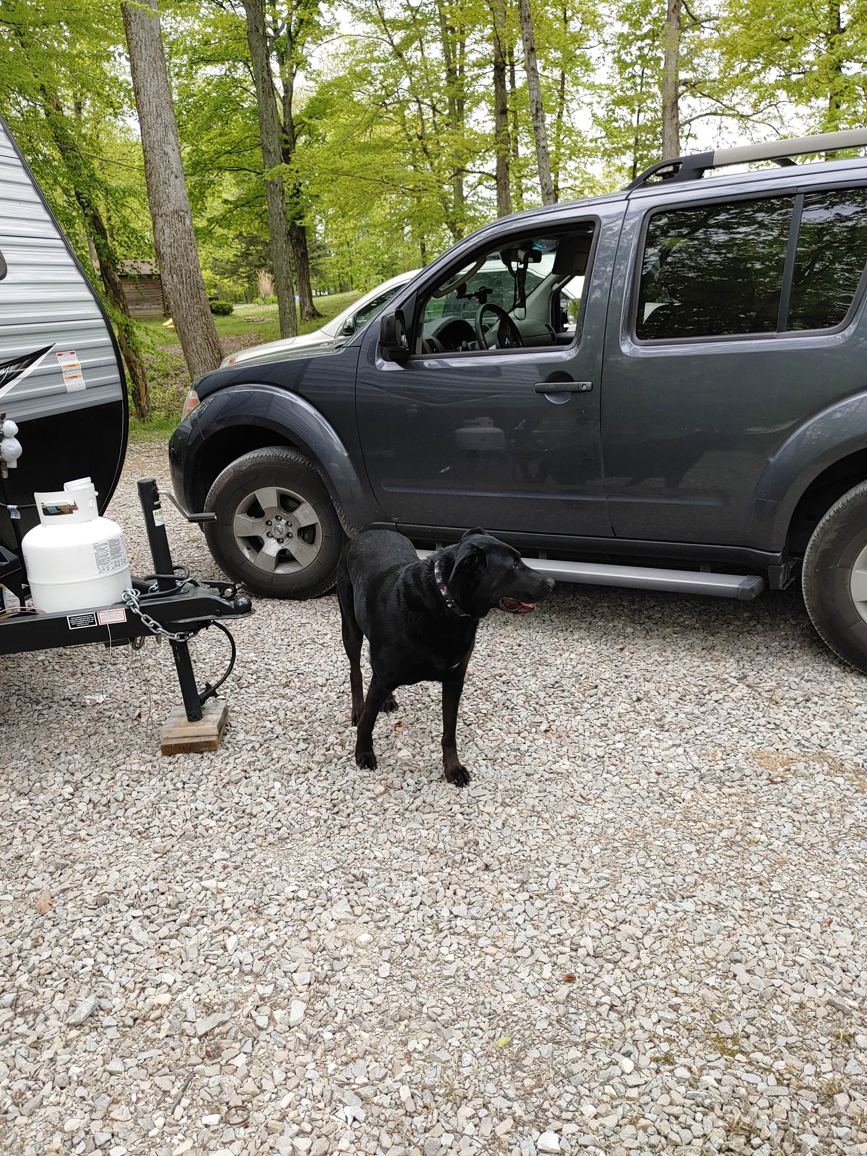 Emanuel R.'s photo of camping with pets at Bill Monroe Memorial Music Park & Campground near Bloomington, IN