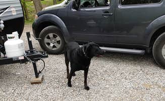 Emanuel R.'s photo of camping with pets at Bill Monroe Memorial Music Park & Campground near Waverly, IN