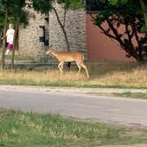 Review photo of Hackberry Campground — Palo Duro Canyon State Park by Helen P., May 17, 2021