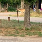 Review photo of Hackberry Campground — Palo Duro Canyon State Park by Helen P., May 17, 2021