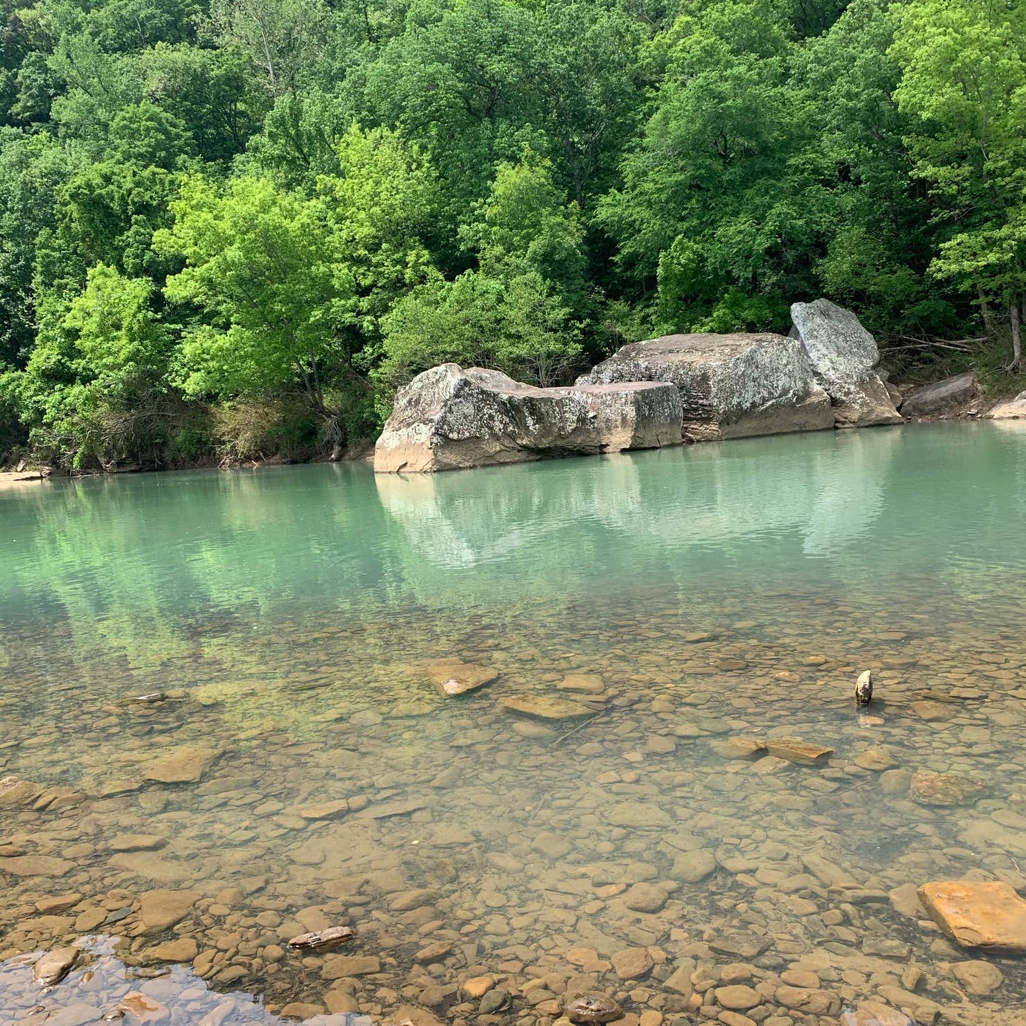Arkansas Pool Long Pool Recreation Area | The Dyrt