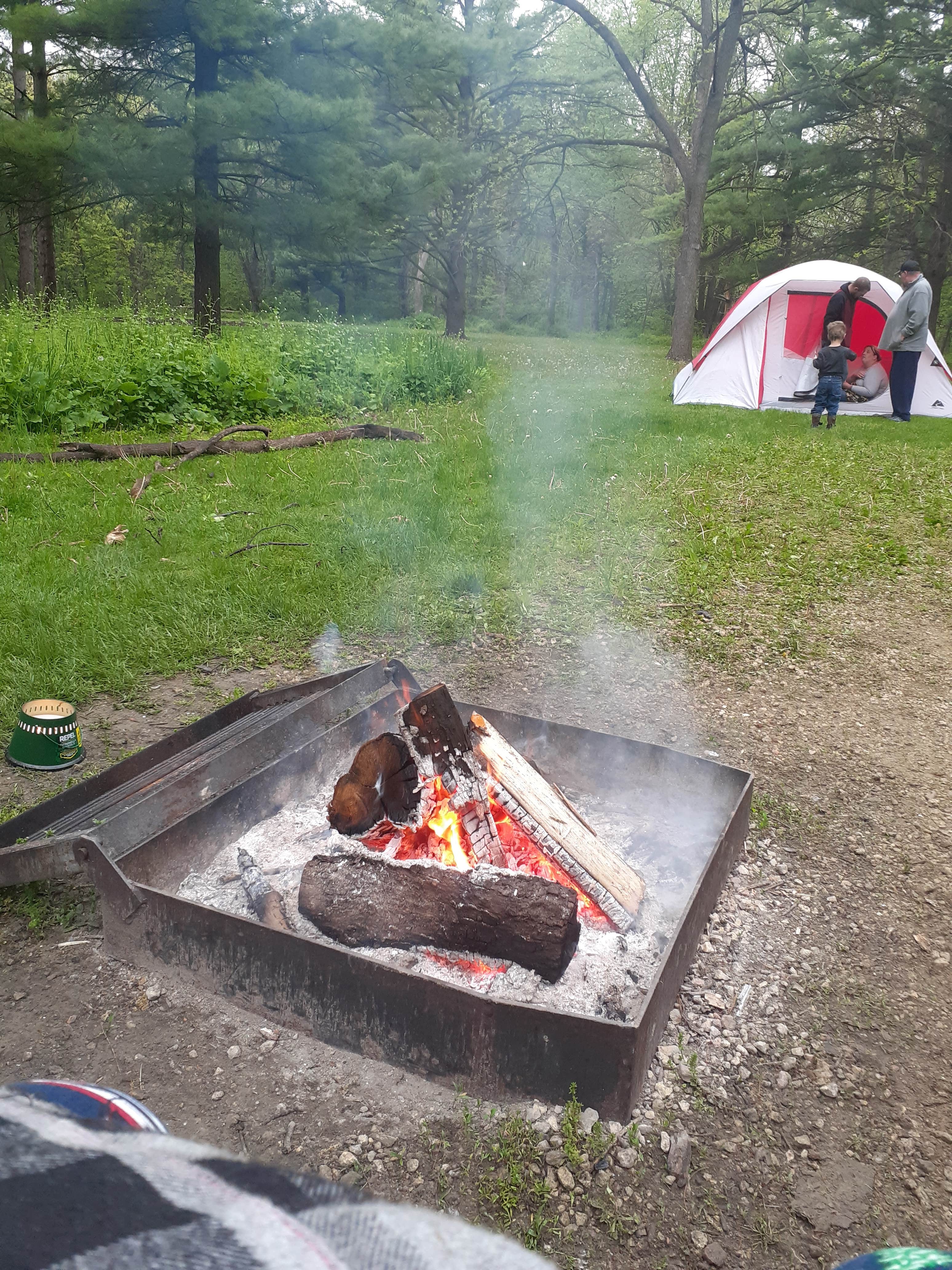 Camper submitted image from Seward Bluffs Forest Preserve - 5