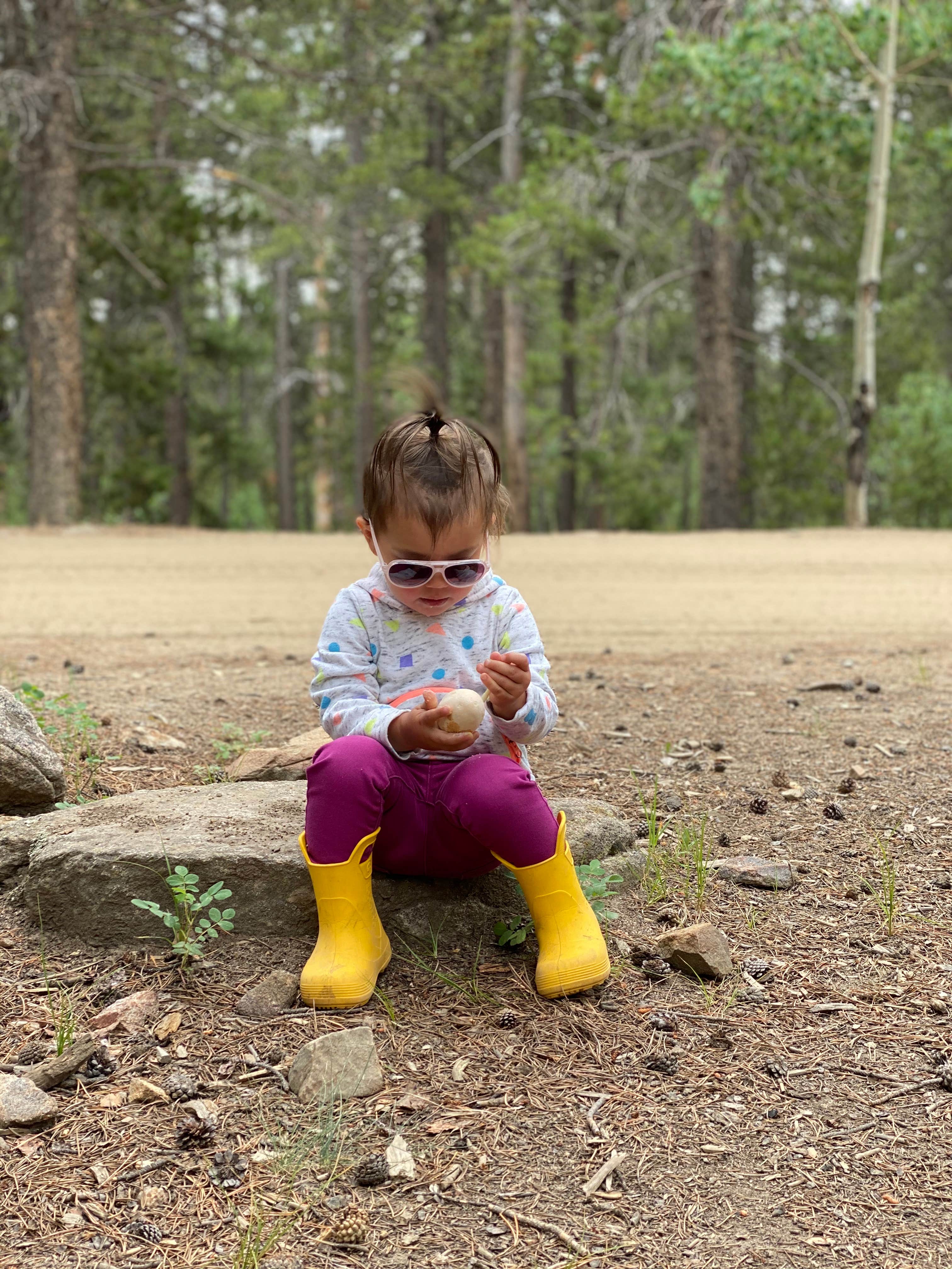 Camper submitted image from Columbine Campground - 5