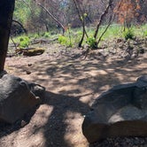 Review photo of Ritchey Creek Campground — Bothe-Napa Valley State Park by Jeanna J., May 17, 2021