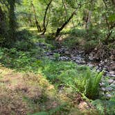 Review photo of Ritchey Creek Campground — Bothe-Napa Valley State Park by Jeanna J., May 17, 2021