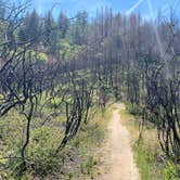 Review photo of Ritchey Creek Campground — Bothe-Napa Valley State Park by Jeanna J., May 17, 2021