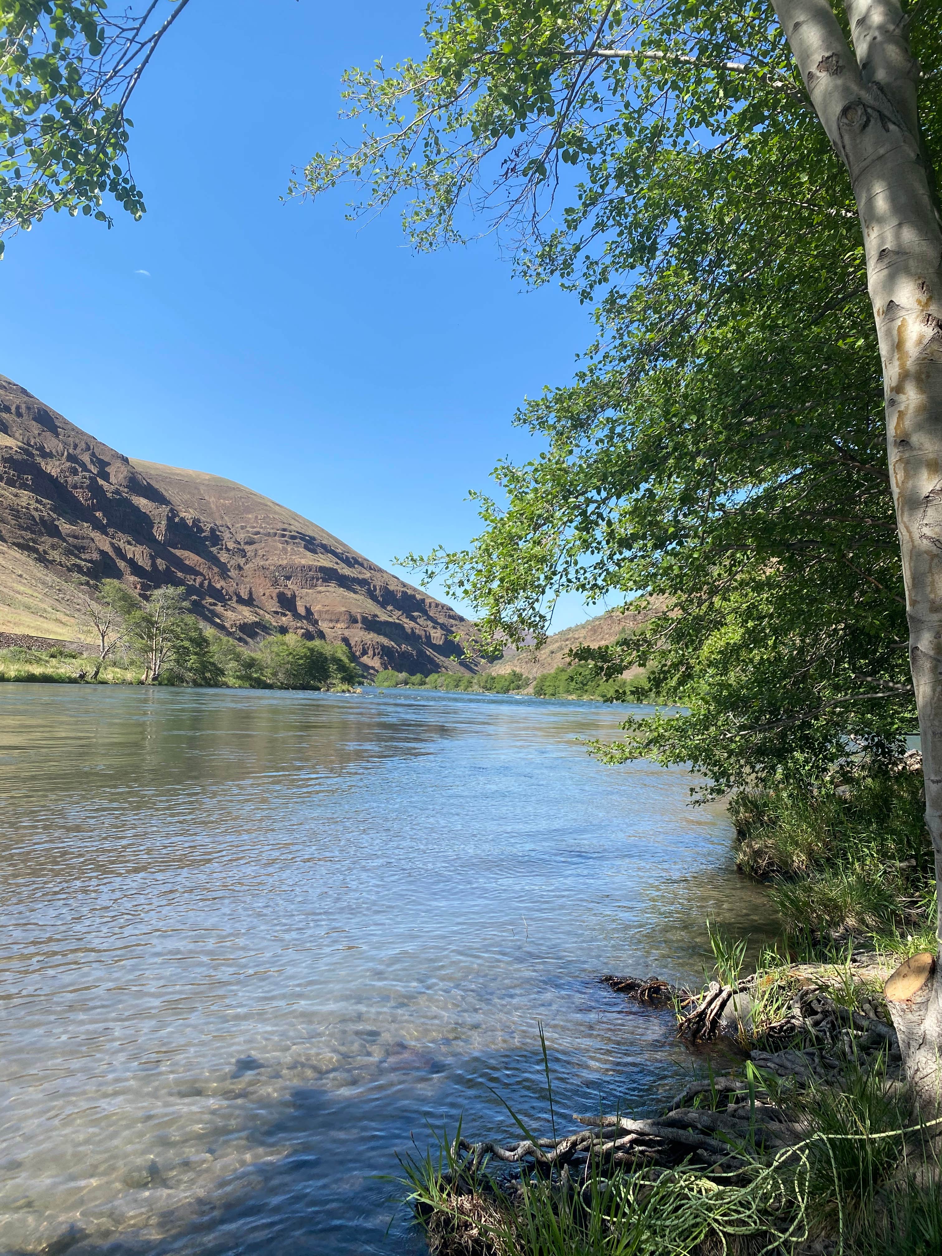 Camper submitted image from Jones Canyon Campground — Lower Deschutes Wild And Scenic River - 2