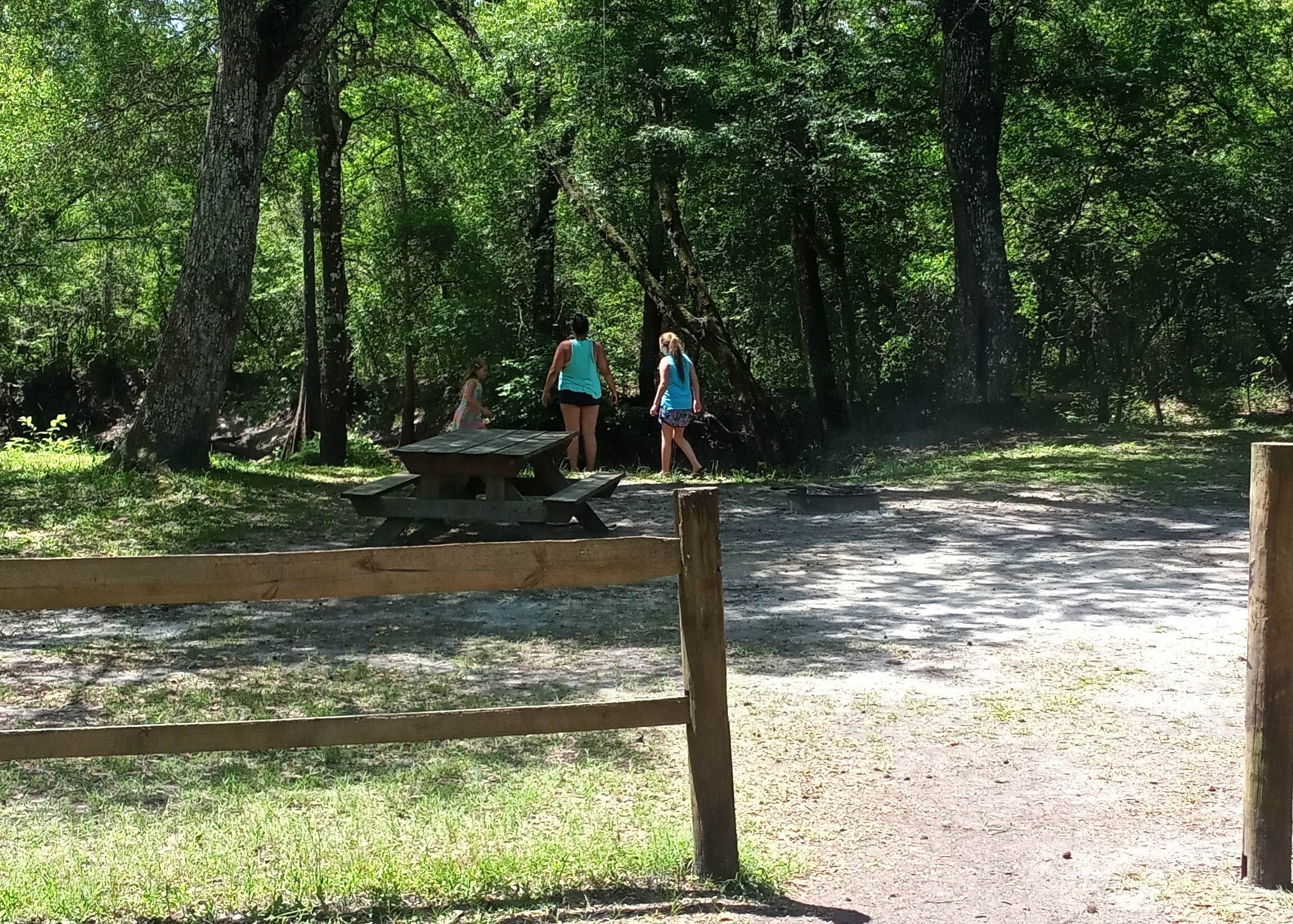 River Junction Campground Withlacoochee State Forest Camping The Dyrt