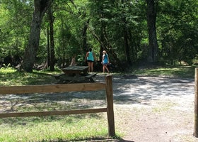 River Junction Campground - Withlacoochee State Forest