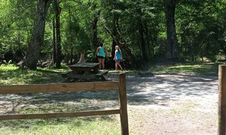 River Junction Campground - Withlacoochee State Forest