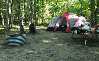 Meara H.'s photo at Barnes County Park Campground near Boyne City, MI