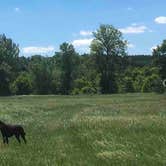 Review photo of Yellow Medicine River Campground — Upper Sioux Agency State Park - PERMANENTLY CLOSED by Stephanie B., June 3, 2018