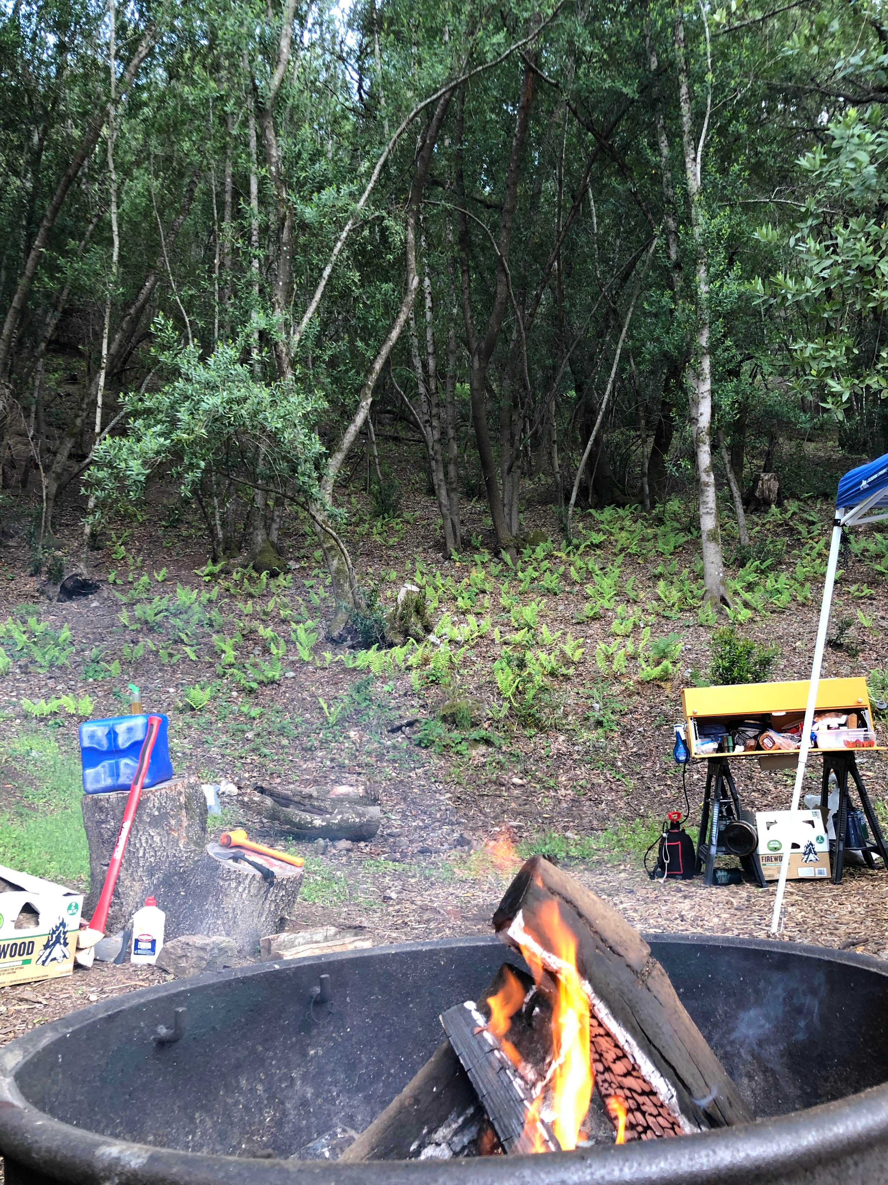Syd D.'s photo at Sugarloaf Ridge State Park Campground near Angwin, CA