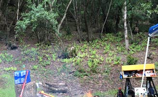 Syd D.'s photo at Sugarloaf Ridge State Park Campground near Rohnert Park, CA