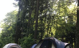 Shayna's photo at Worlds End State Park Campground near Sweet Valley, PA