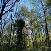 Review photo of Hickory Run State Park Campground by Shayna , May 17, 2021