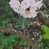 Review photo of Cheaha Falls Campground by Jeffrey S., May 17, 2021