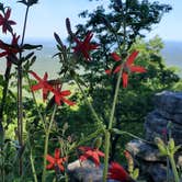 Review photo of Cheaha Falls Campground by Jeffrey S., May 17, 2021