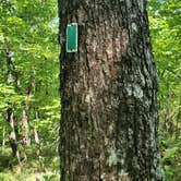 Review photo of Cheaha Falls Campground by Jeffrey S., May 17, 2021