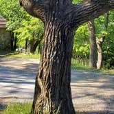 Review photo of Cheaha Falls Campground by Jeffrey S., May 17, 2021