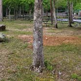 Review photo of Cheaha Falls Campground by Jeffrey S., May 17, 2021