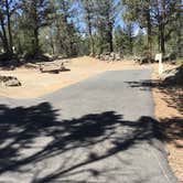 Review photo of Crooked River Campground — The Cove Palisades State Park by Carrie , May 17, 2021