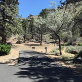 Review photo of Crooked River Campground — The Cove Palisades State Park by Carrie , May 17, 2021