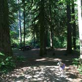 Review photo of Paradise Campground by Bill I., July 15, 2016
