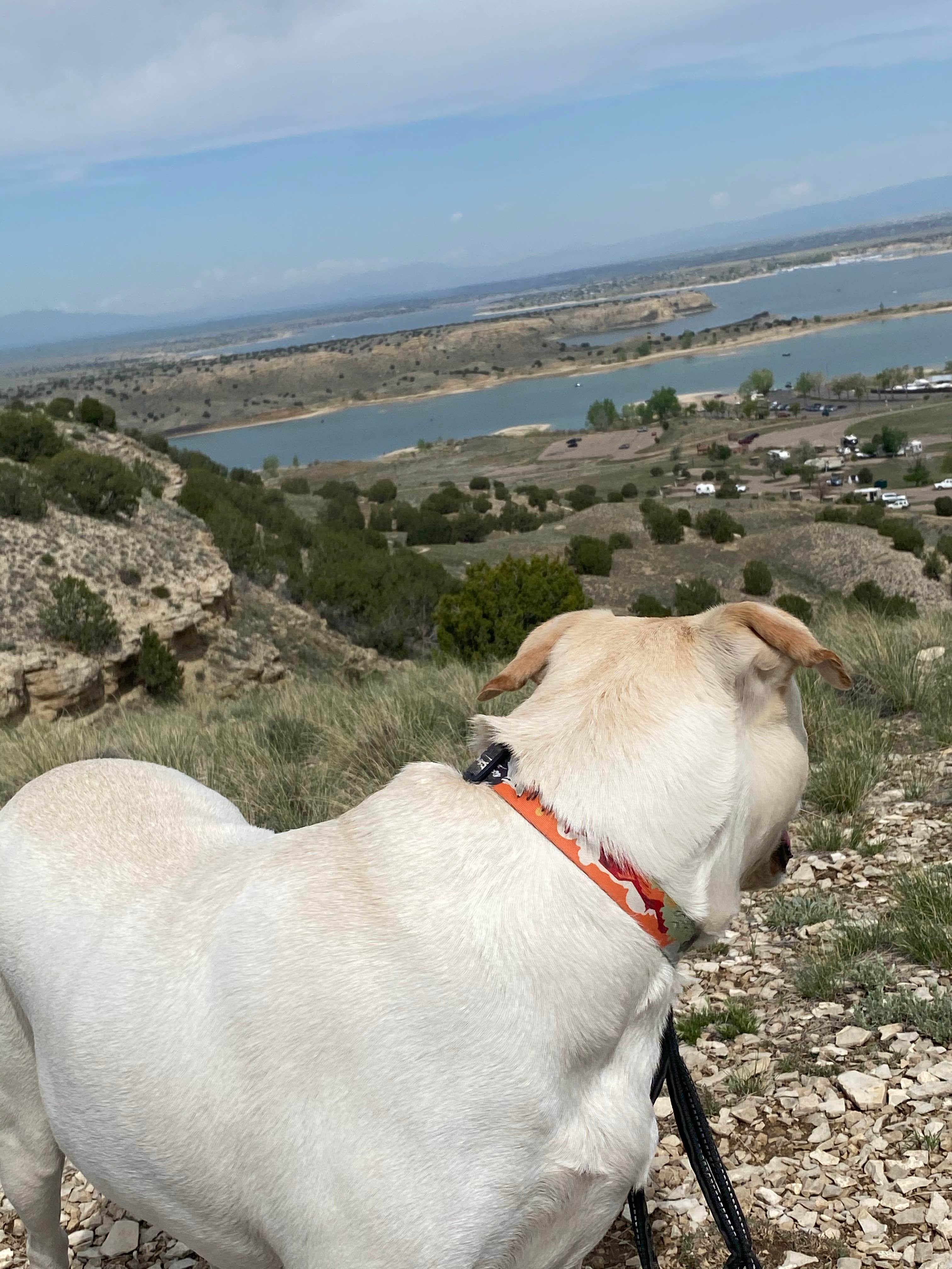 Angie G.'s photo of camping with pets at Arkansas Point Campground — Lake Pueblo State Park near Penrose, CO