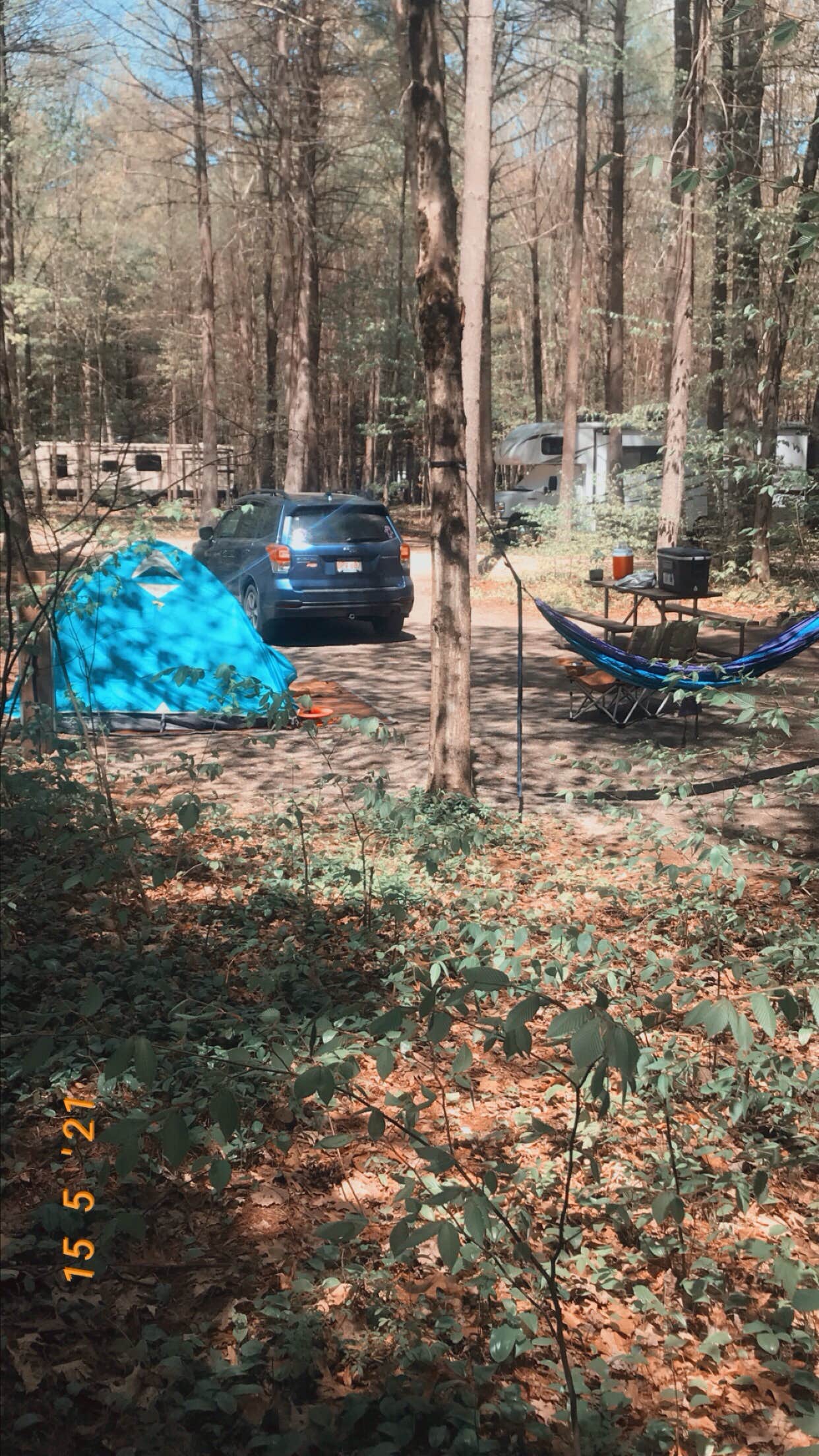 Camper submitted image from Ashuelot River Campground - 1