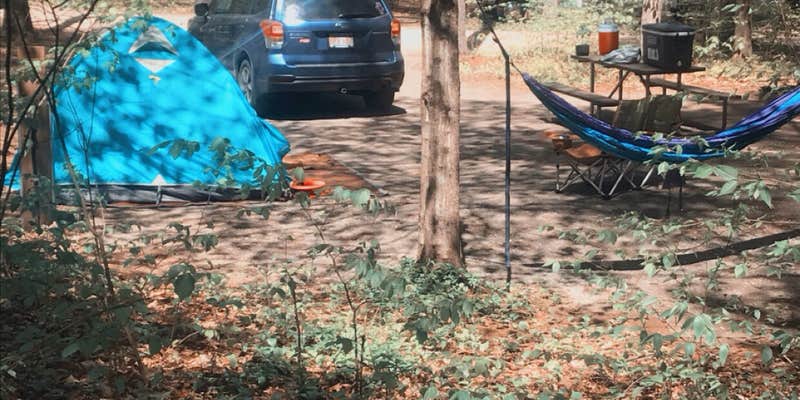 Camper submitted image from Ashuelot River Campground