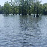 Review photo of Trap Pond State Park Campground by Brandon C., May 17, 2021