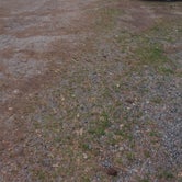 Review photo of Trap Pond State Park Campground by Brandon C., May 17, 2021