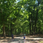 Review photo of Trap Pond State Park Campground by Brandon C., May 17, 2021