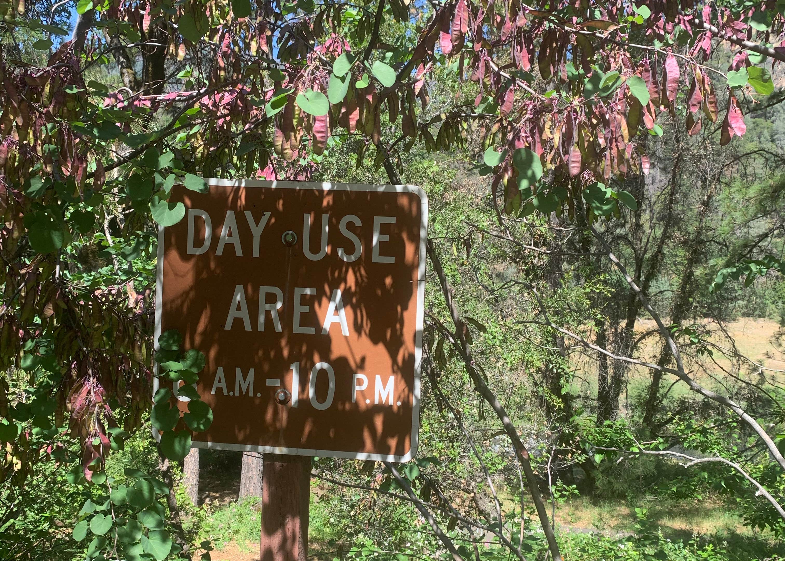 McCloud Bridge Campground Camping The Dyrt